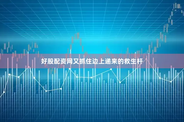 好股配资网又抓住边上递来的救生杆