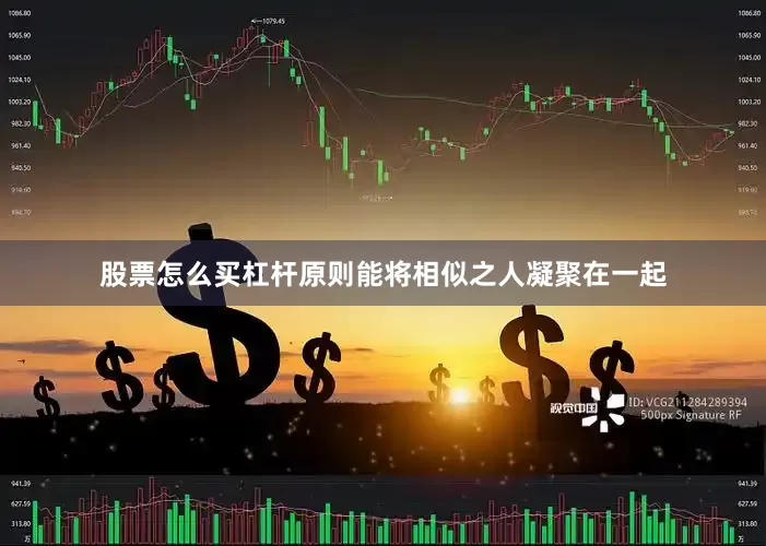 股票怎么买杠杆原则能将相似之人凝聚在一起